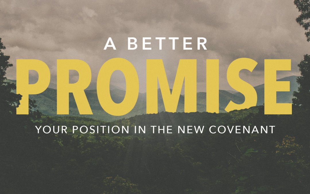 Better covenant, better promise-darla-thumb