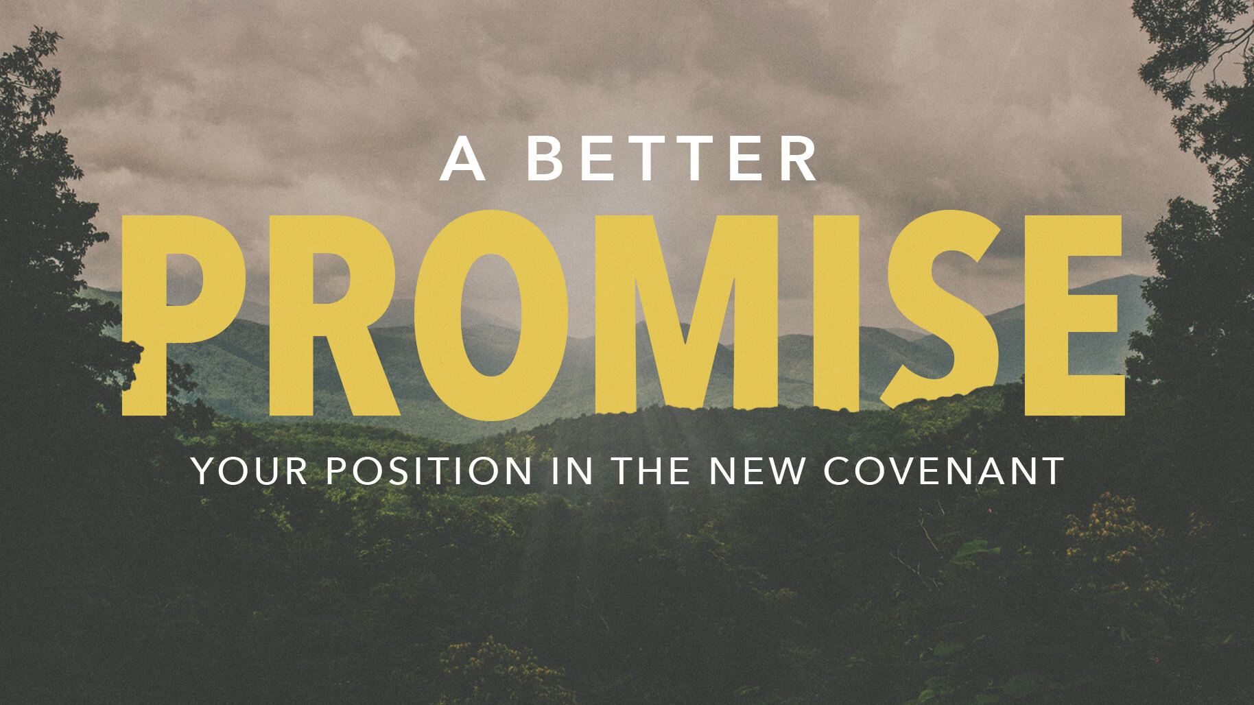 Your Position in the New Covenant